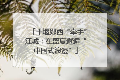 十堰郧西“牵手”江城：在盛夏邂逅“中国式浪漫”