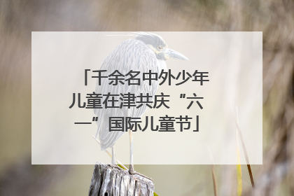 千余名中外少年儿童在津共庆“六一”国际儿童节