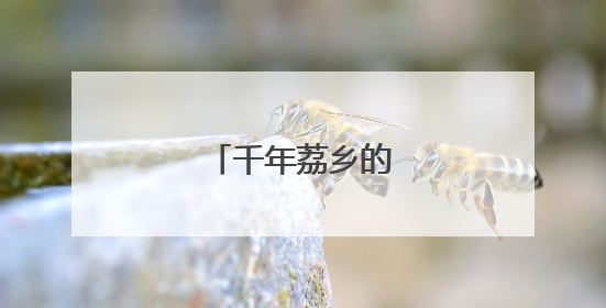 千年荔乡的产业突围记
