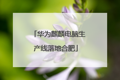华为麒麟电脑生产线落地合肥