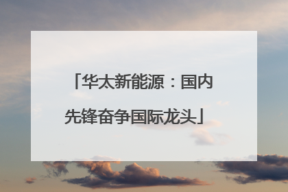 华太新能源：国内先锋奋争国际龙头