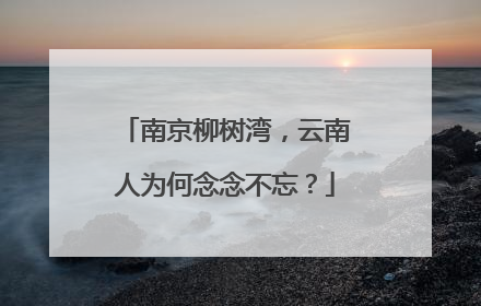 南京柳树湾，云南人为何念念不忘？