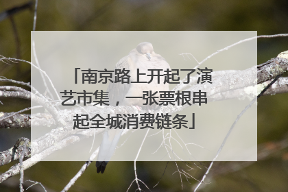 南京路上开起了演艺市集，一张票根串起全城消费链条