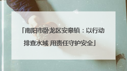 南阳市卧龙区安皋镇：以行动排查水域 用责任守护安全