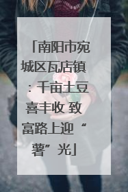 南阳市宛城区瓦店镇：千亩土豆喜丰收 致富路上迎“薯”光