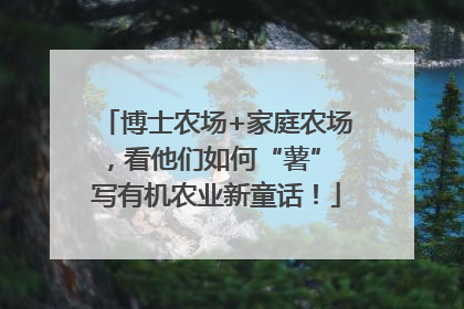 博士农场+家庭农场，看他们如何“薯” 写有机农业新童话！