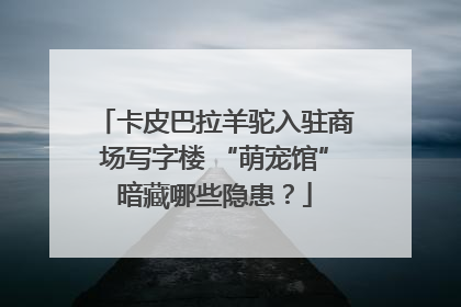 卡皮巴拉羊驼入驻商场写字楼 “萌宠馆”暗藏哪些隐患？