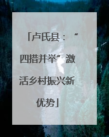卢氏县：“四措并举”激活乡村振兴新优势