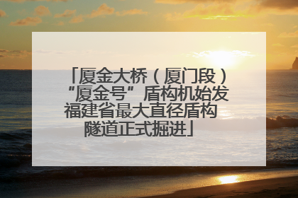 厦金大桥（厦门段）“厦金号”盾构机始发 福建省最大直径盾构隧道正式掘进