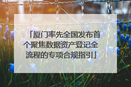 厦门率先全国发布首个聚焦数据资产登记全流程的专项合规指引