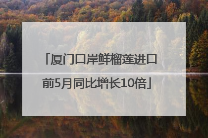厦门口岸鲜榴莲进口 前5月同比增长10倍