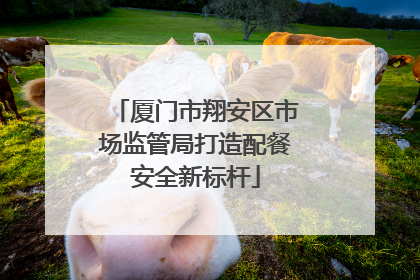 厦门市翔安区市场监管局打造配餐安全新标杆