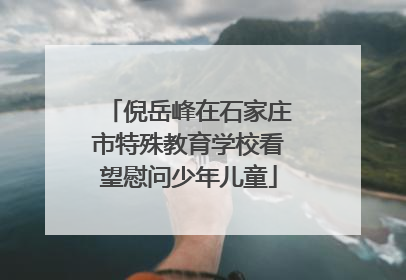 倪岳峰在石家庄市特殊教育学校看望慰问少年儿童