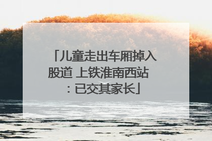 儿童走出车厢掉入股道 上铁淮南西站：已交其家长