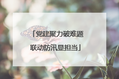 党建聚力破难题 联动防汛显担当
