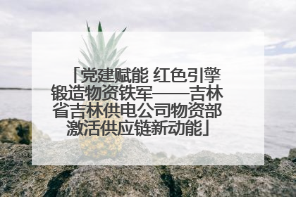 党建赋能 红色引擎锻造物资铁军——吉林省吉林供电公司物资部激活供应链新动能