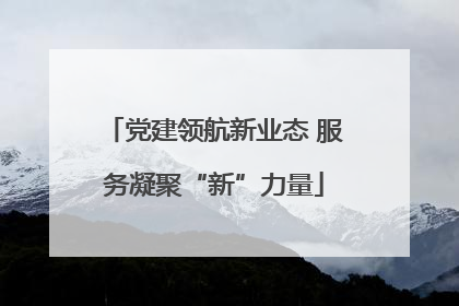 党建领航新业态 服务凝聚“新”力量