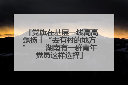 党旗在基层一线高高飘扬丨“去有村的地方”——湖南有一群青年党员这样选择
