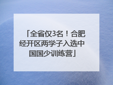 全省仅3名！合肥经开区两学子入选中国国少训练营