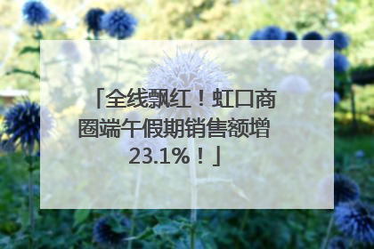 全线飘红！虹口商圈端午假期销售额增23.1%！