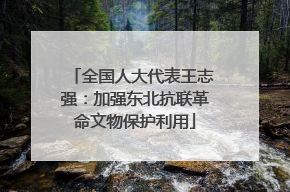 全国人大代表王志强：加强东北抗联革命文物保护利用