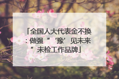 全国人大代表金不换：做强“‘豫’见未来”未检工作品牌