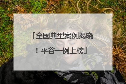 全国典型案例揭晓！平谷一例上榜
