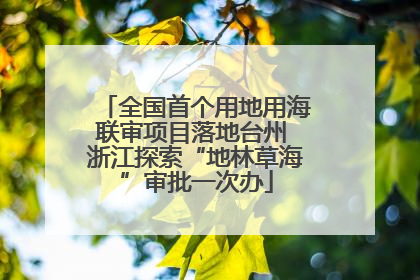 全国首个用地用海联审项目落地台州 浙江探索“地林草海”审批一次办
