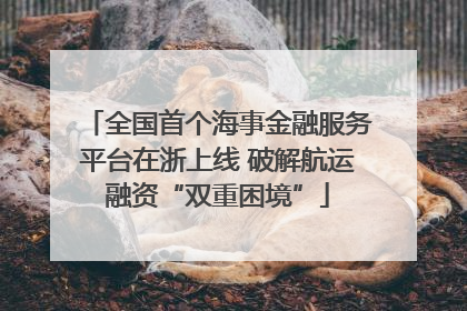 全国首个海事金融服务平台在浙上线 破解航运融资“双重困境”