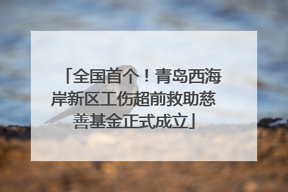全国首个！青岛西海岸新区工伤超前救助慈善基金正式成立