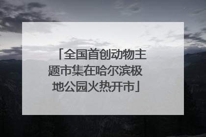 全国首创动物主题市集在哈尔滨极地公园火热开市