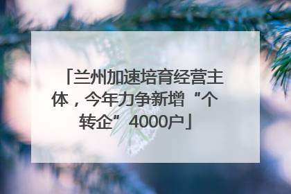 兰州加速培育经营主体，今年力争新增“个转企”4000户