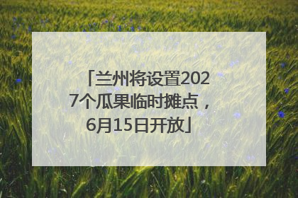 兰州将设置2027个瓜果临时摊点，6月15日开放
