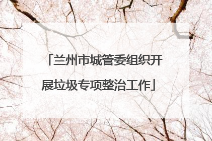 兰州市城管委组织开展垃圾专项整治工作