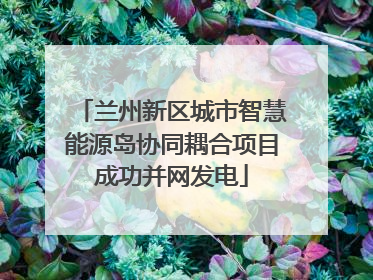 兰州新区城市智慧能源岛协同耦合项目成功并网发电