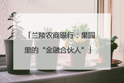 兰陵农商银行：果园里的“金融合伙人”
