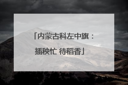 内蒙古科左中旗：插秧忙 待稻香