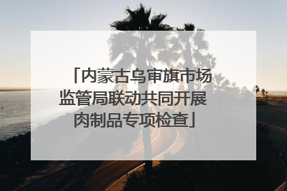 内蒙古乌审旗市场监管局联动共同开展肉制品专项检查