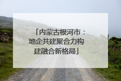 内蒙古根河市：地企共建聚合力构建融合新格局