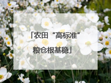 农田“高标准” 粮仓根基稳