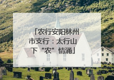 农行安阳林州市支行：太行山下“农”情涌