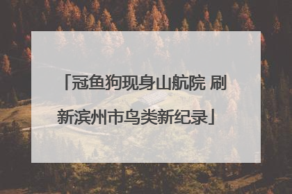 冠鱼狗现身山航院 刷新滨州市鸟类新纪录