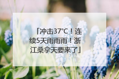 冲击37℃！连续5天雨雨雨！浙江桑拿天要来了