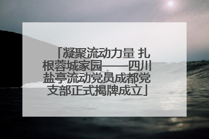 凝聚流动力量 扎根蓉城家园——四川盐亭流动党员成都党支部正式揭牌成立