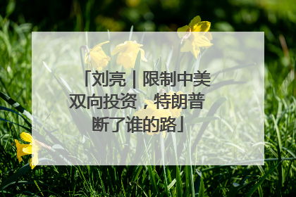 刘亮｜限制中美双向投资，特朗普断了谁的路