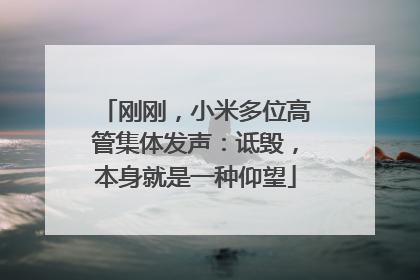 刚刚，小米多位高管集体发声：诋毁，本身就是一种仰望