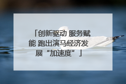创新驱动 服务赋能 跑出演马经济发展“加速度”