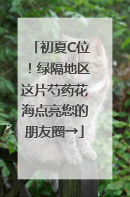 初夏C位！绿隔地区这片芍药花海点亮您的朋友圈→