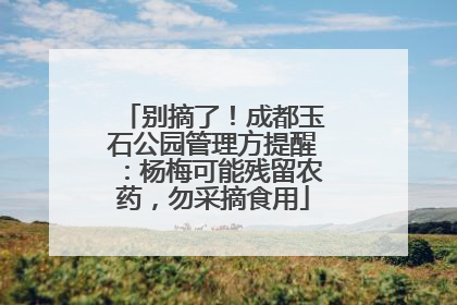 别摘了！成都玉石公园管理方提醒：杨梅可能残留农药，勿采摘食用