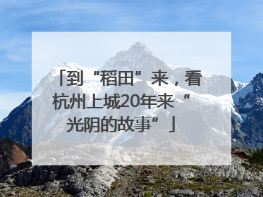 到“稻田”来，看杭州上城20年来“光阴的故事”